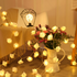 LED Rose String Lights – Warm and Cozy Decorative Lighting for Bedroom and Events - Elden Home